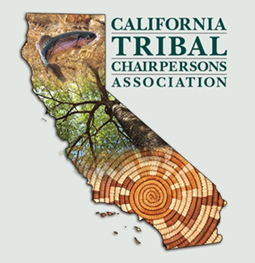 CTCA Logo